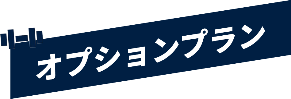 オプションプラン